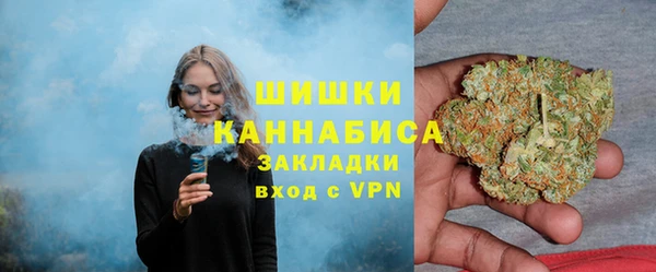 твердый Алзамай