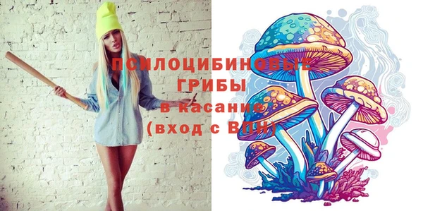 амф Алексеевка