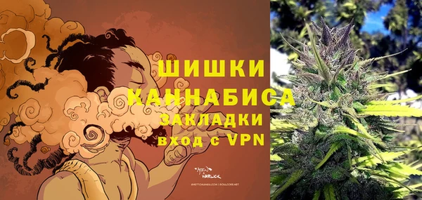 твердый Алзамай